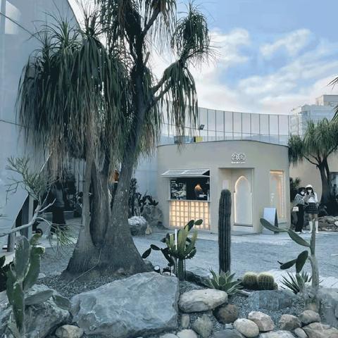 都市绿洲自助午餐好不？