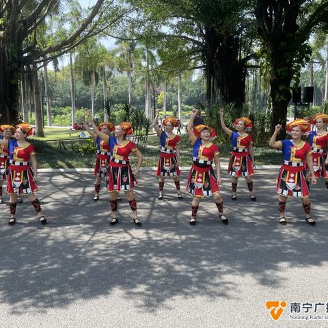 南宁市怎么查养老金