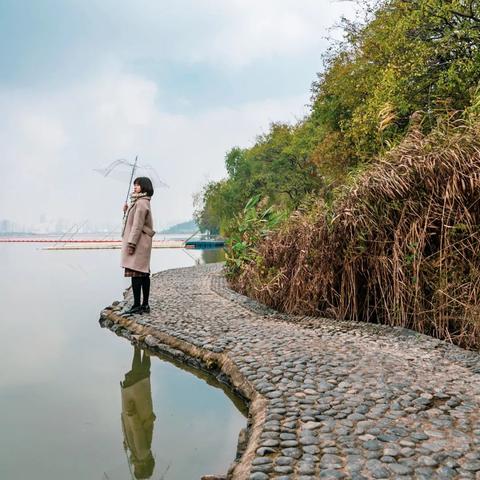武汉市武泰闸在哪个区
