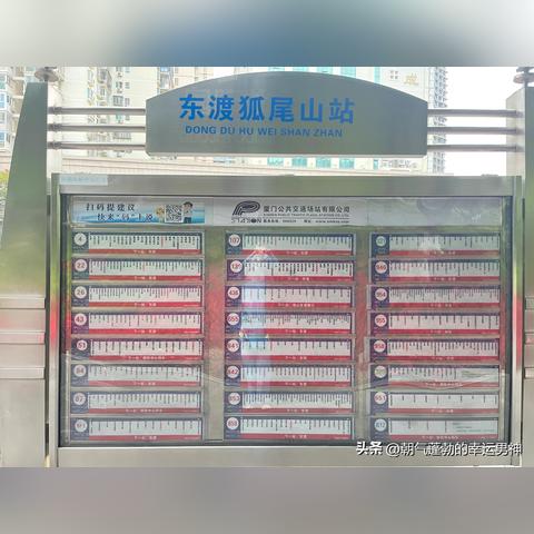 厦门东头市场的相关长尾关键词有哪些