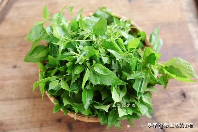宝宝多大可以吃肉？6个月以后即可