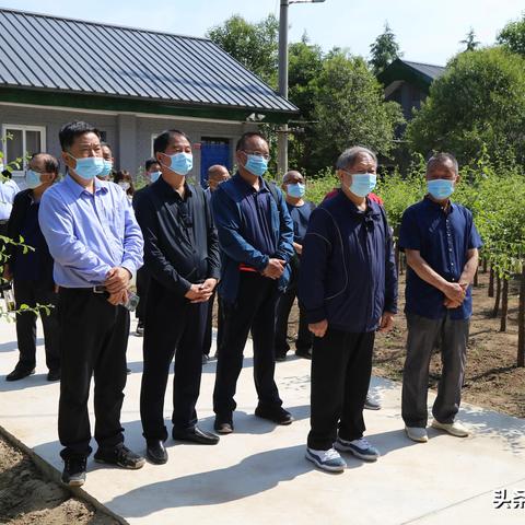 怎么查档案是否到西安市