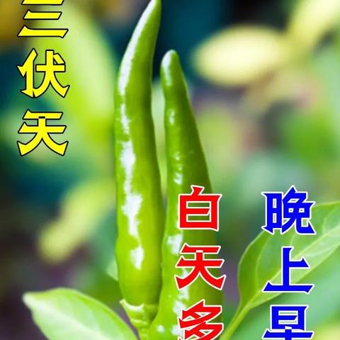 7月6号天气怎么样