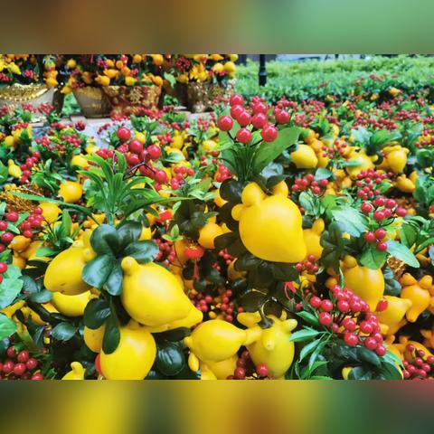 广州市越秀区都有什么街