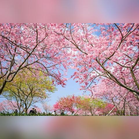 福建哪个地方有海