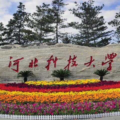 石家庄市化学药院地址的长尾关键词有什么