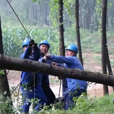 保定市市政故障哪里反映
