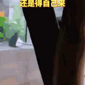 武汉市白熊酒吧怎么样呀