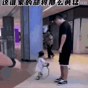 兰州市汇胜服装厂怎么样
