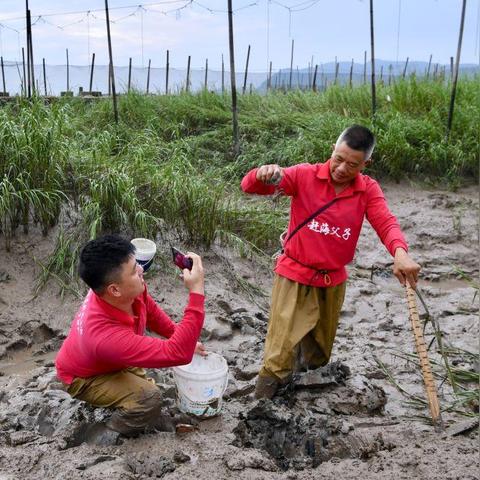 福建哪个海滩赶海
