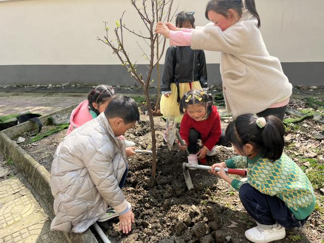 幼儿园植树节活动报道