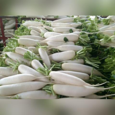 八字寒湿怎么调理_八字寒湿如何处理(八字湿寒气过重)