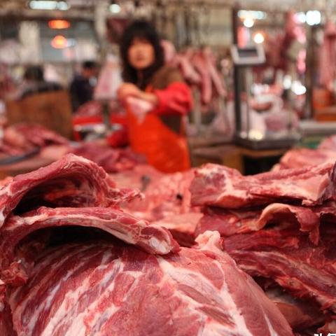 沈阳育肥牛相关长尾关键词有哪些