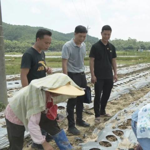 佛山市中医院把脉怎么样