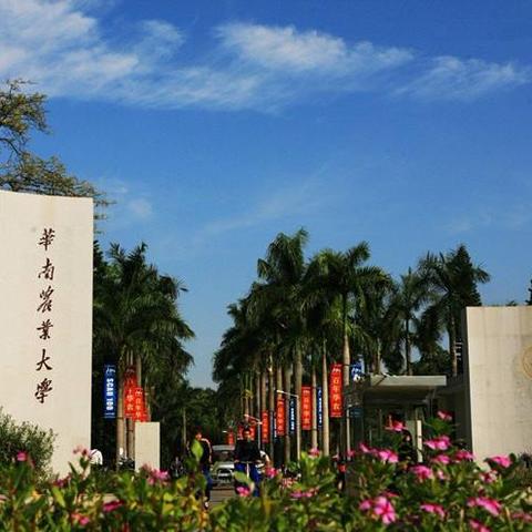 南宁至长沙高速路况如何？