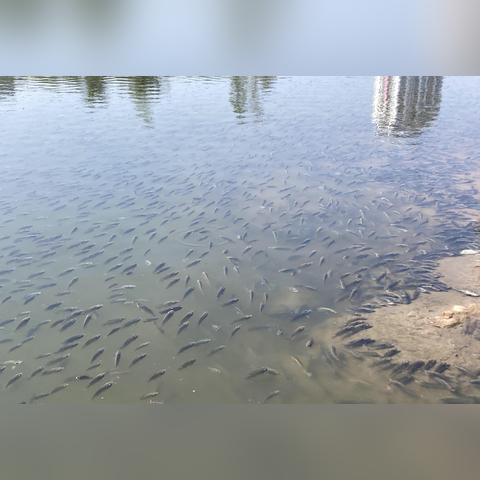 2025.11.27广州今日气温变化情况