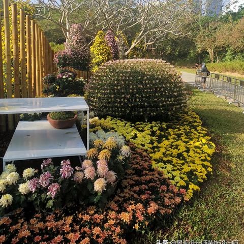 深圳市东湖公园坐什么车