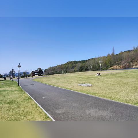 宁波市什么时间有火车