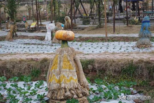 成都1小时直达冷门地，逛新春市集、重拾儿时的年味
