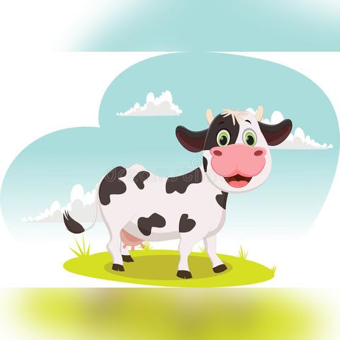 生肖猪年轻的运势(生肖猪年轻的运势如何)