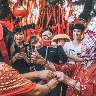 12生肖运势2025年运(2025年十二生肖)