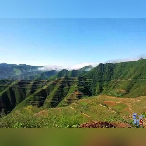 兰州市哪里植被多一点
