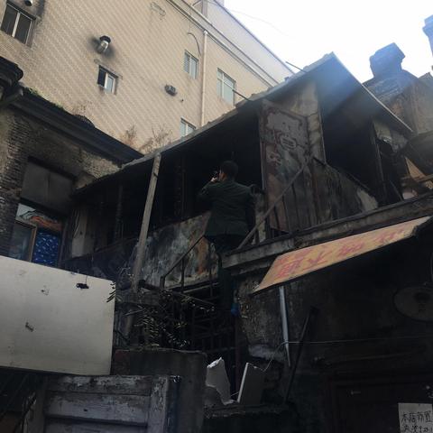 哈尔滨活体宠物相关长尾关键词有哪些