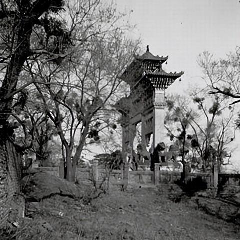 沈阳市北陵是归哪个区