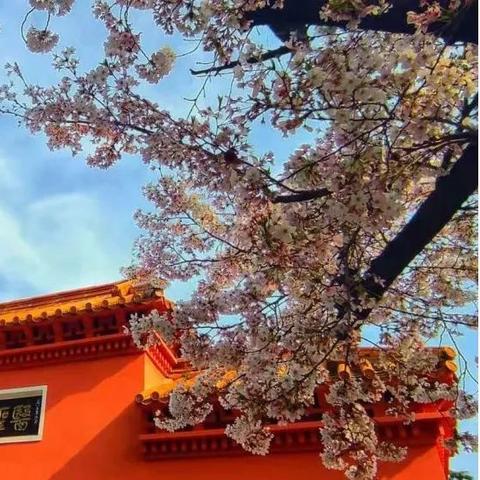 桐柏明天是什么天气