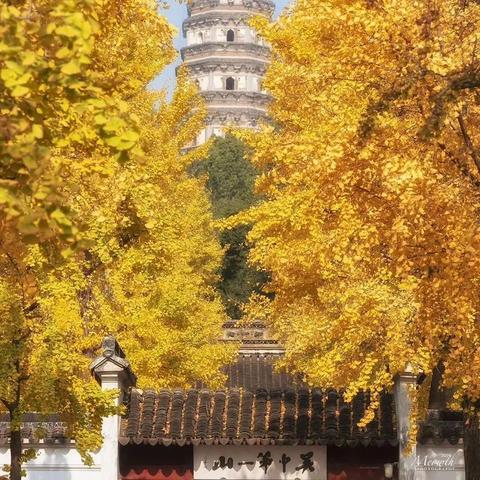 苏州市国金中心什么区