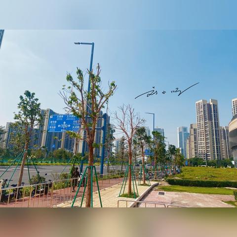 广东佛山市初二地理重点的长尾关键词有哪些