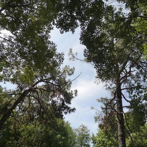 武汉市动物园管理处是什么级别