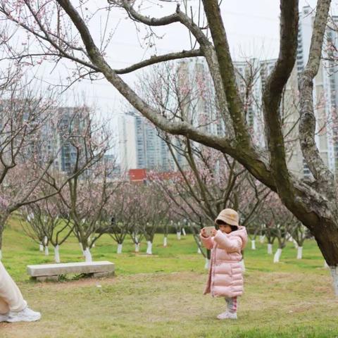 深圳市梅园学校怎么样