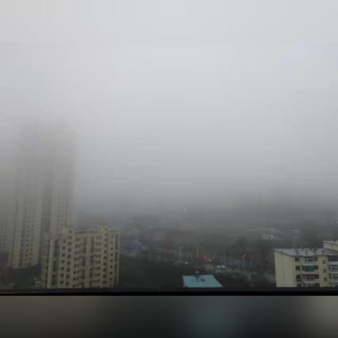 多雾地区为什么气温高