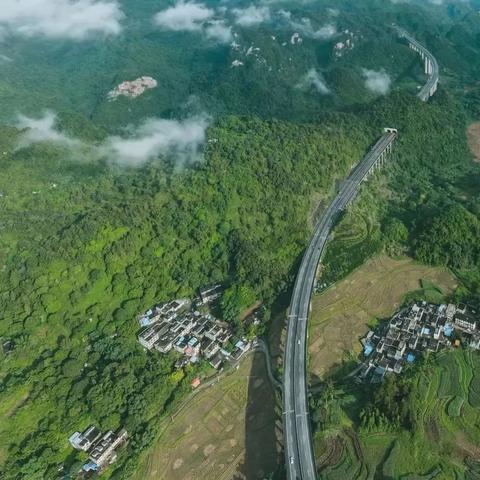 桂林市偷狗被抓怎么处罚