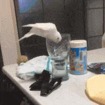 哈尔滨市医院合租多少钱