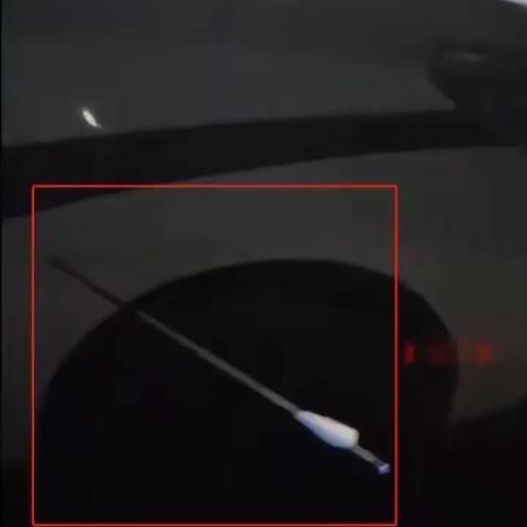 临沂市的狗市场在哪里