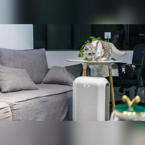 河南南方家居的相关长尾关键词有哪些