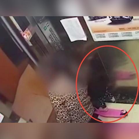 樱桃树是什么样子杭州市