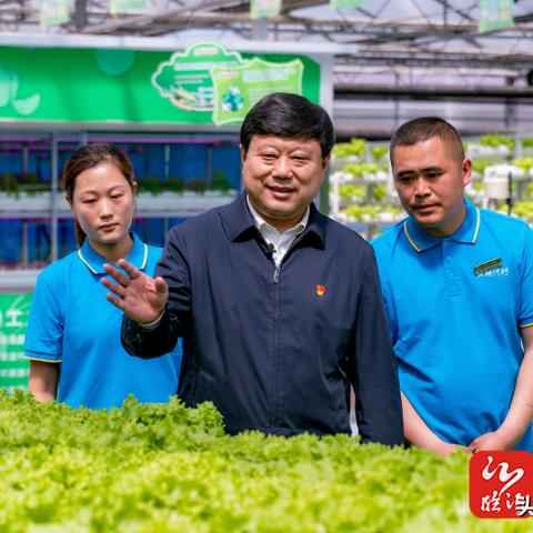 临沂市庭院改造项目的长尾关键词有什么