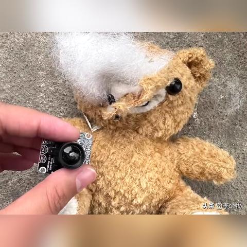 福建熊吧的相关长尾关键词有哪些