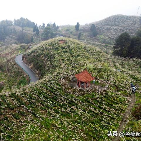 重庆停车怎么样