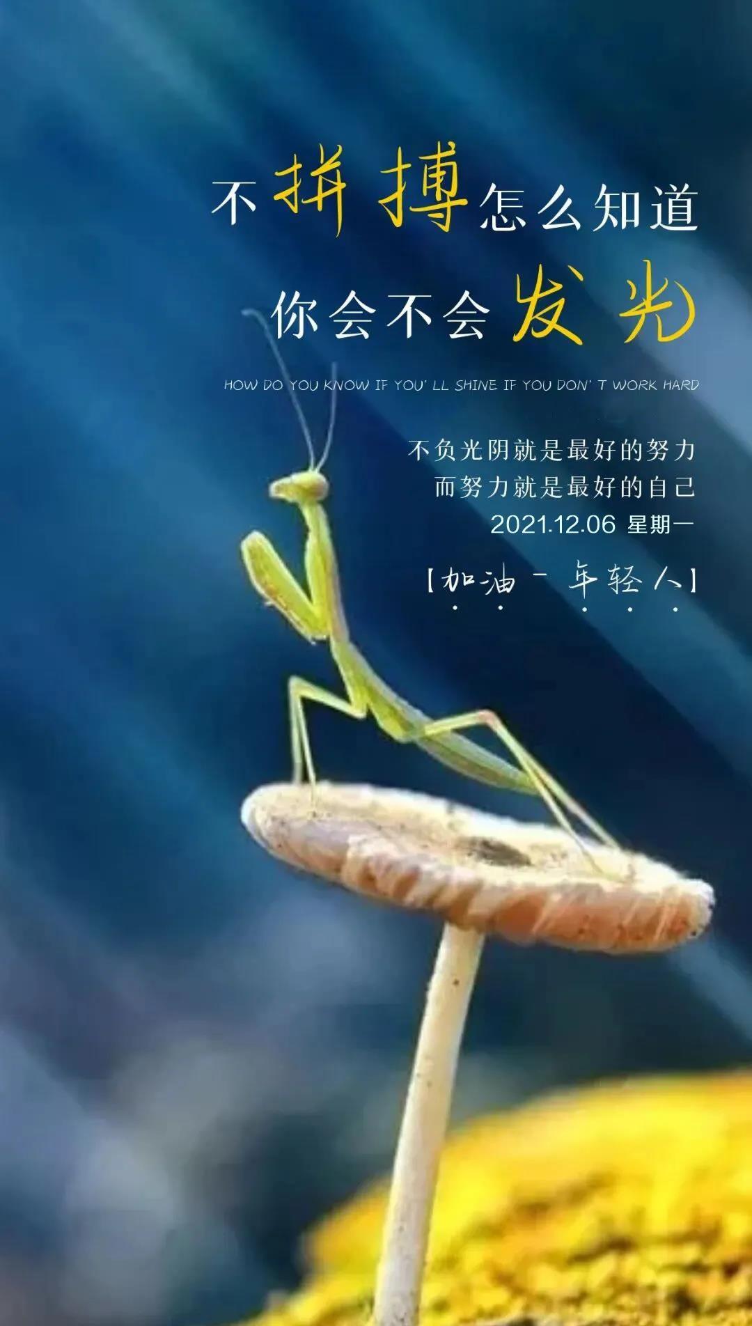 12月正能量的句子有什么励志短句