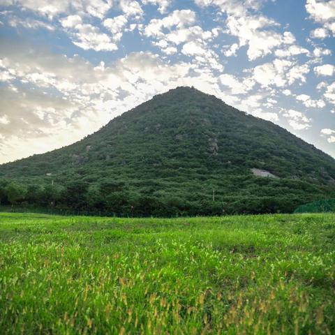 济南市东郊饭店是哪个区