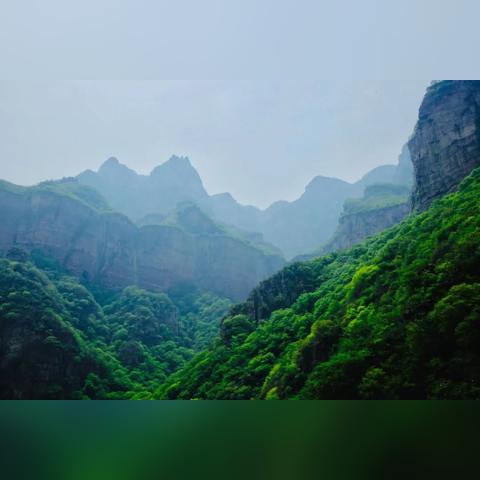 河南杨絮什么时候结束