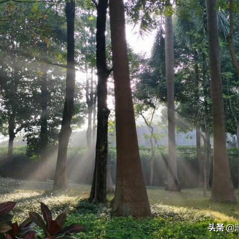 桂林山泉鲤鱼养殖相关长尾关键词有哪些