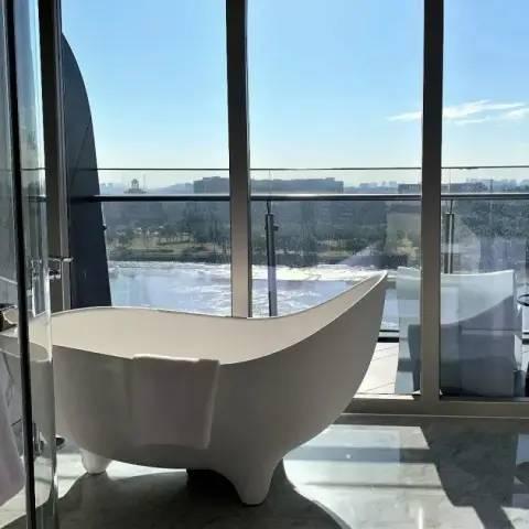 广州市有什么酒楼开业