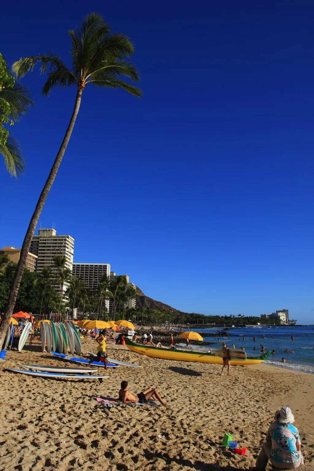 2020美国人口总数
 /2020年美国人口总数