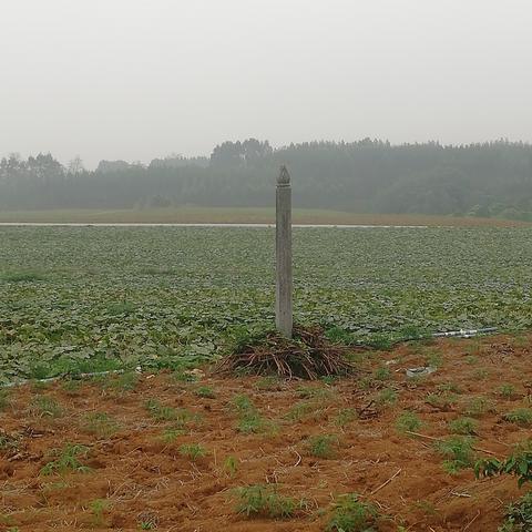 南宁大山古墓视频的相关长尾关键词有哪些