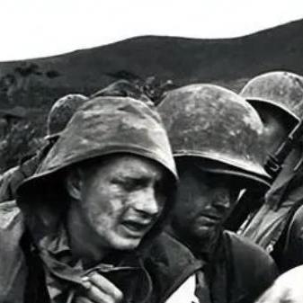 番号是什么意思